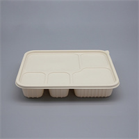 Food container 5 gird 1000 ml